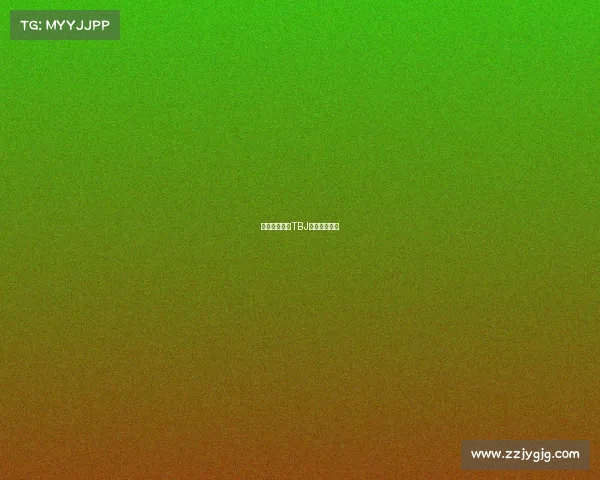 巅峰对决——TBJ战队蓄势待发